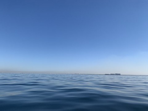 a5vebmwbw89s4cagiifk_480_361-7a864589.jpg