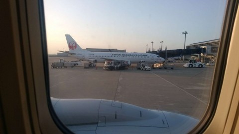 a5xbwundxgau4udmk9t2_480_480-ac875335.jpg
