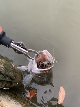 a6cuwu7m8j965papa8wb_361_480-9042e9a6.jpg