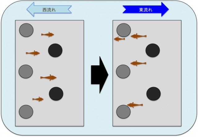 34stafflog 魚の向きを考える