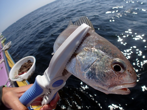 a6o8ssrgpchw347anxhb-e83531d5.jpg