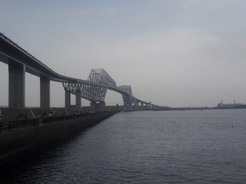 a6p92o2tgp66tgxbrcwz_480_480-585a7377.jpg