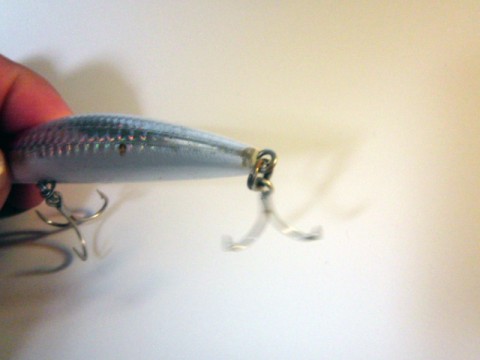 a6pcyxz4udy4i9xrijwd_480_480-654b3d33.jpg