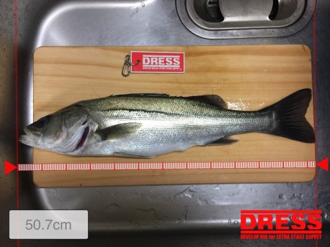 a6pgra5cwyrcbtsnccsj_920_690-bd7d1c28.jpg