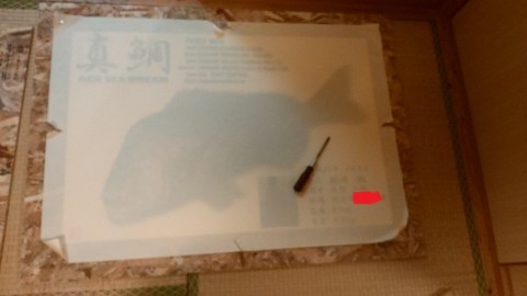 a6rxzhd92km94kjzybbb_480_480-3d785233.jpg