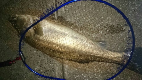 a6t8cavsjruuaa87vt84_920_518-88bcb698.jpg