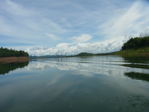 a6urrjfb9uu2tm6sgt82_480_480-99f41913.jpg