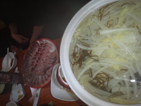 a6wt3jjy2d995ho6gd6n_480_480-f72495a9.jpg