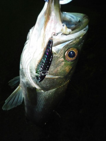 a6yhgdaxbhzap3f6dnyu_690_920-26e48652.jpg