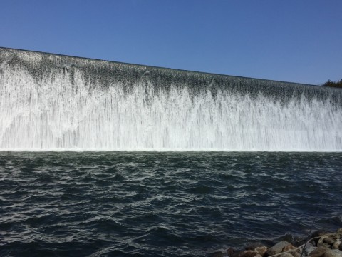 a6ziroyzecfevnjefsj3_920_690-b467d8b7.jpg