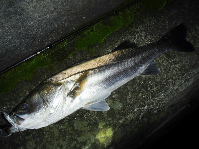 a7gypdk7wwythmzzyk77-29f4987a.jpg