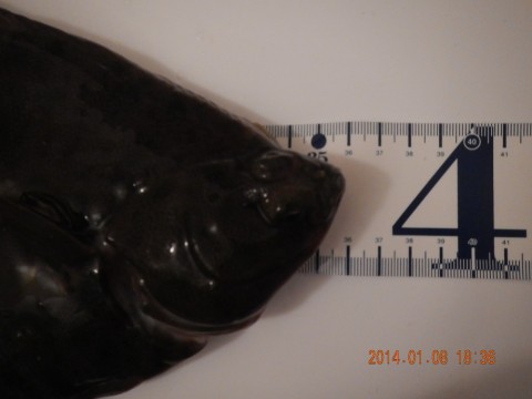 a7j6pnajover4m4ww57b_480_480-516ac4c7.jpg
