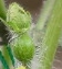 a7r8tw5y42pjkfkds4vc-d46bd602.jpg