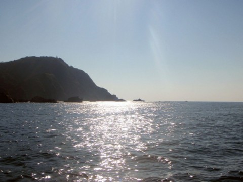 a7wpbcnr9th29wxw3ywp_480_480-3d0289a8.jpg
