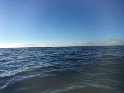 a85nmpihjo43dbvxv9gj_480_360-83ac7066.jpg