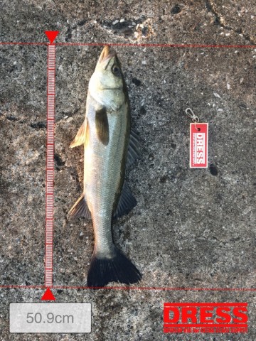 a86hfgijw345bx5dro39_690_920-8439b158.jpg