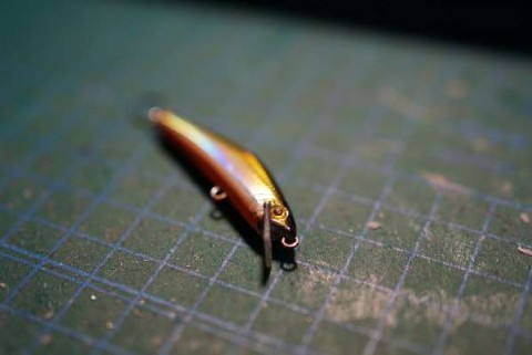 a8hxw3yniu978ayopaxi_480_480-419ab380.jpg
