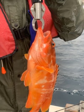 a8vgkbtamz58y6m9wj2b_361_480-b88d02b1.jpg