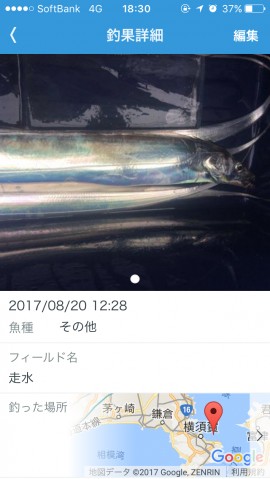 a976m3pjsdd3tkbufwid_480_480-20294c1e.jpg
