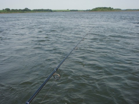 a9yyhh76x23vzpv67ix4_480_480-d4679b1b.jpg