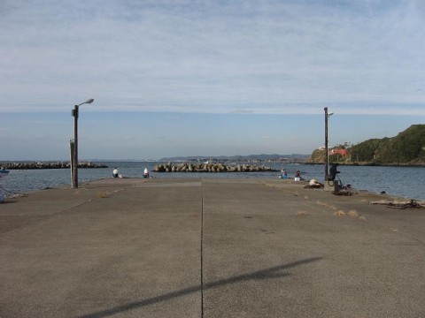 aEe8tnFrYp6dnZTVVgOi_480_480-f6606356.jpg