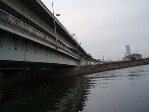 aGOCehXtmr3XkPGQjvCt_480_480-7e1bcd13.jpg