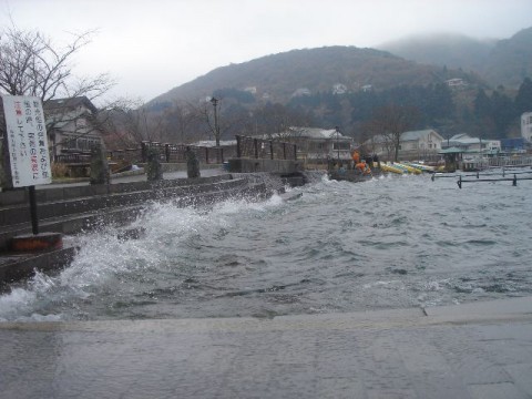aLfDvks6kbcnpAHoLYZK_480_480-c4a9379d.jpg
