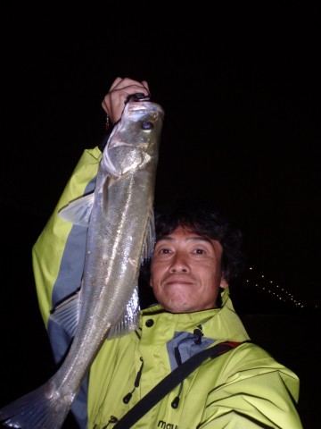 aaf9wmivfzxskr63xo35_480_480-8613cc11.jpg