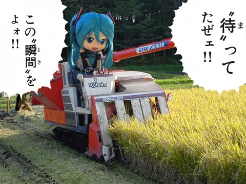 aai7eo2tn77ezwd9igns_480_480-9ce8f95e.jpg