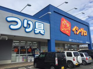 aayb8gzkj6hks6p2bohv-2c6d5d55.jpg
