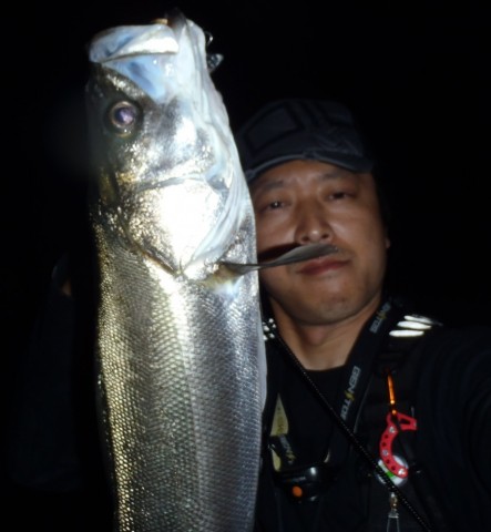 ab5mr83kky4mavtycraw_480_480-298a9492.jpg