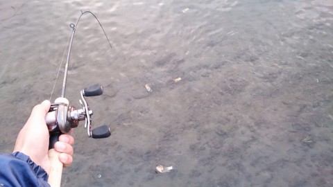 ab9z82xszzzpnk2var3a_480_480-c00636ea.jpg