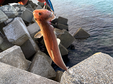 abfn5ve5vpmvd8st2927-c4d889a6.jpg