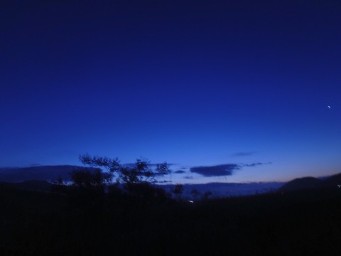 abmzu92k3dkef73zarcw_920_690-e00131b0.jpg