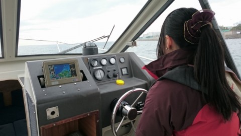 ac2s348psgdysea9bn38_480_480-cf891f83.jpg