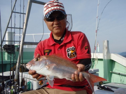 ac45sufut37zowwu3nou_480_480-635b387a.jpg