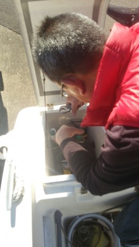 ac969ejh8hvkco8ibmgh_518_920-3dfac2d9.jpg
