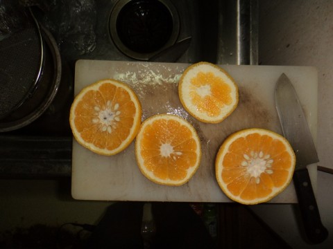 acaphkouwzpw49g56o8m_480_480-0e7ffbc5.jpg