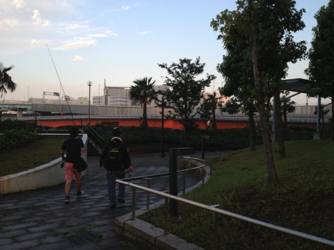 accefgg394apkik4ow7s_920_690-15975457.jpg