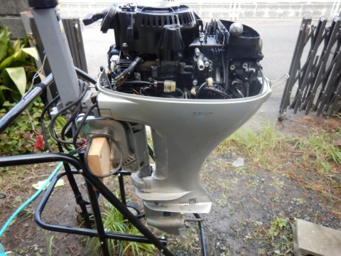acksugtnmmiece84jfny_480_480-ccff9a3a.jpg