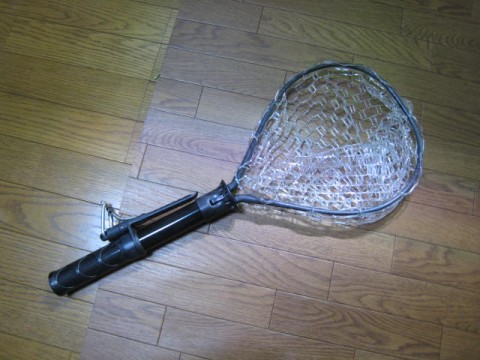 acn65f9syzs6azn9gedp_480_480-680daaeb.jpg