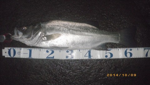 acn9hrgiyt2b33cms6n8_480_480-17568891.jpg