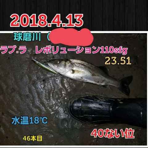 acng3ka482ytturccaxf_480_480-41e830a5.jpg