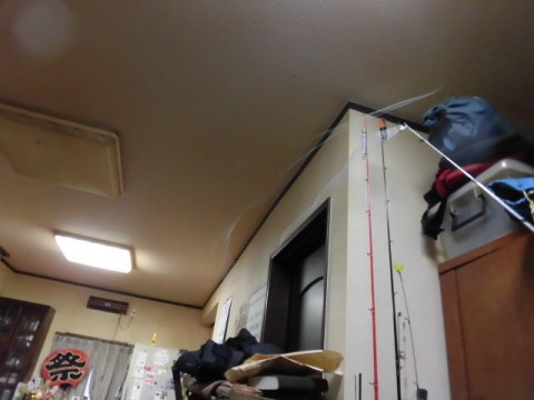 ad2uxjk2vwxg3fz783jh_480_480-fc744b0f.jpg