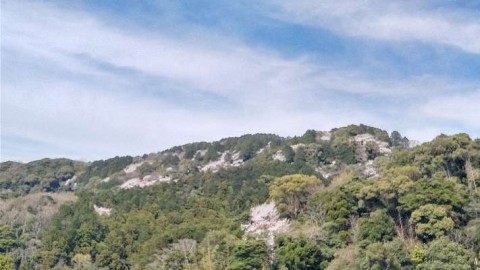 ad3vi7r4fnei5zrf39eo_480_480-96aeda04.jpg