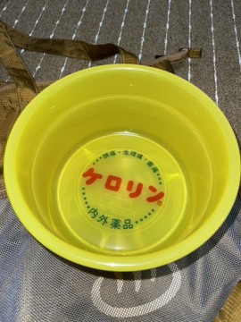 adwzi893arcww98j6p9a_360_480-ce511b2b.jpg
