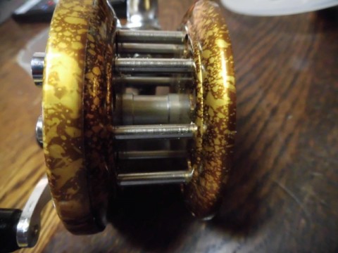 aec36rumtuisysdc5oag_480_480-937e1184.jpg