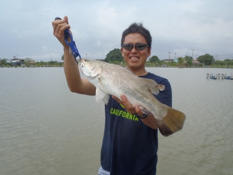 aeixbm5x6g78mnfibzyu_480_480-ddbc1bd0.jpg