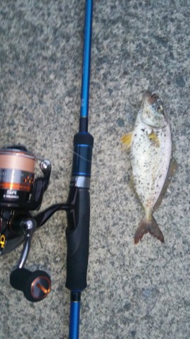 aekf85bt6ggbzcykks7u_480_480-02beeb40.jpg