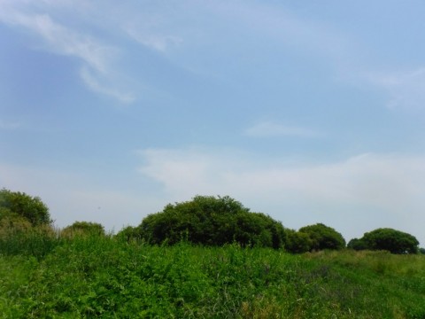 af7ntjnrmcjth7utthuc_480_480-6cbd307c.jpg